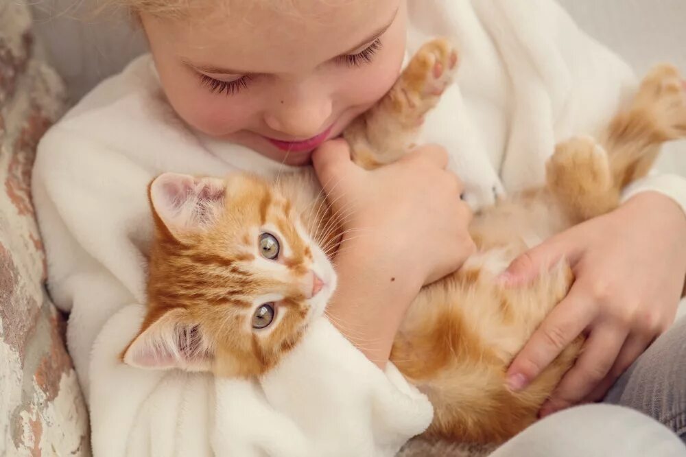 Киска друг. Котенок на руках. Котенка гладят. Девочка гладит кота. Девушка с котенком на руках.