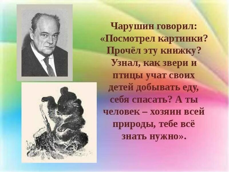 Биография чарушина кратко. Портрет е чарушина. чарушин годы е.чарушин.