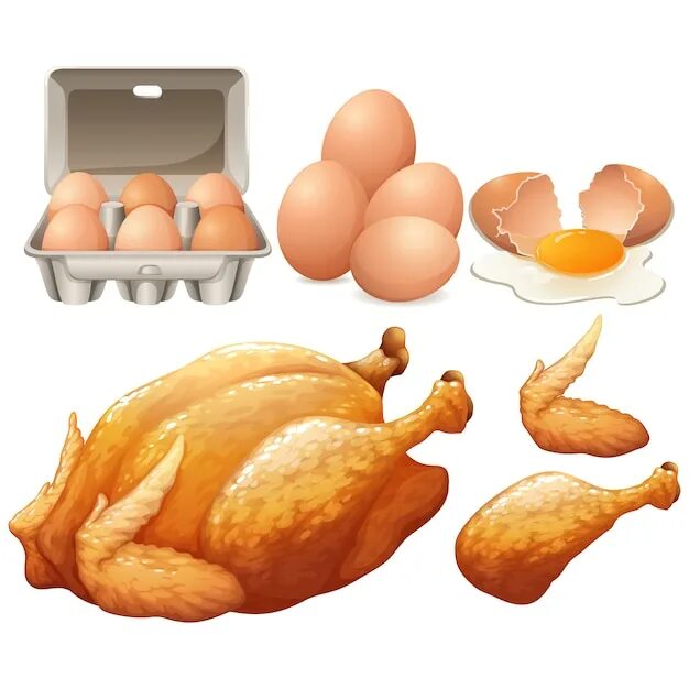 Куриное мясо и яйца. Курица с яйцами. Мясо курицы для детей. Курица с яйцами вектор. Яйцо мясная курица