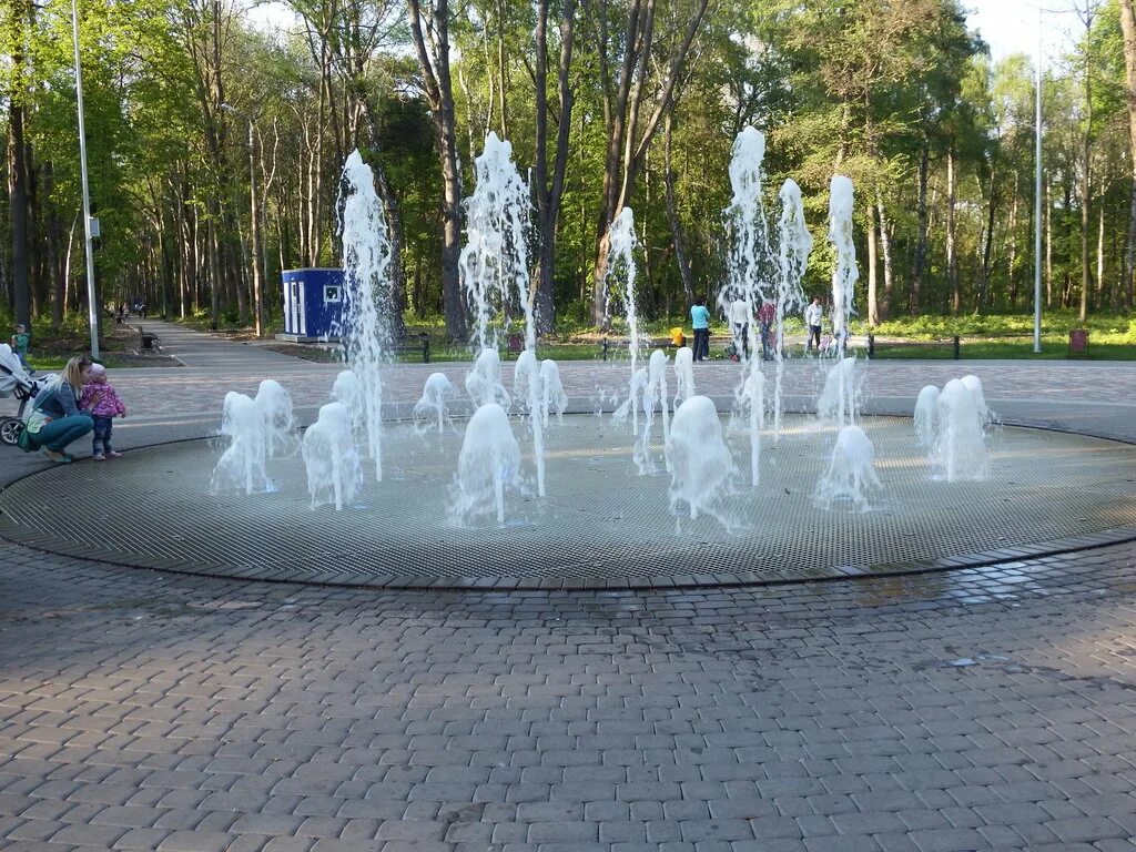 куда сходить в новомосковске. центральный парк новомосковск. новогодний новомосковск тульская. новомосковск тульская область детский парк. парк в новомосковске тульской области.