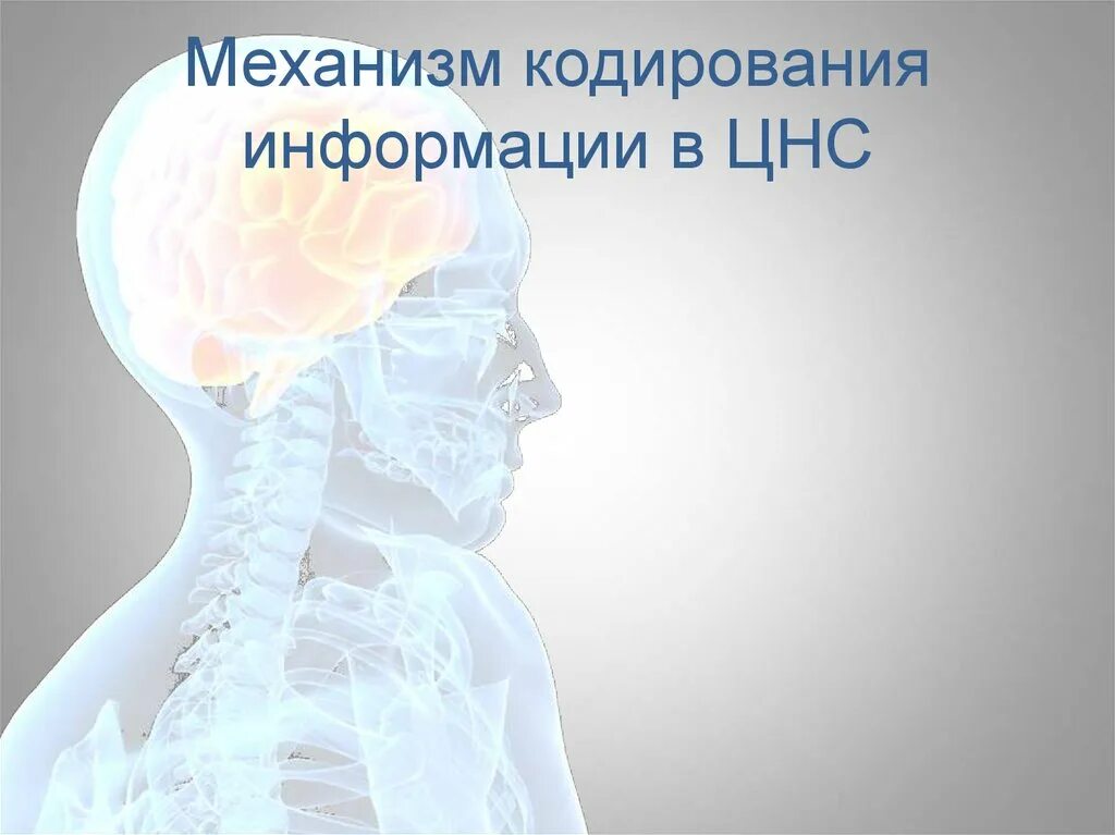 Кодирование сенсорной информации. Кодирование информации в цнс. механизм кодирования информации в цнс. кодирование информации в нервной системе презентация. опишите механизм кодирования информации в цнс..