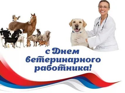 Поздравление с днем ветеринара в прозе