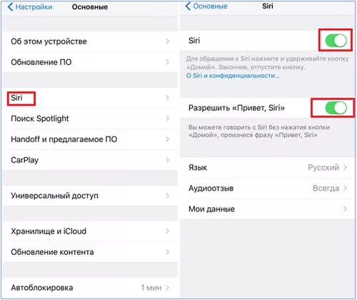 На айфон плохо слышно говорящего. Сири не слышит меня на айфоне 7. плохо слышно собеседника на айфоне 7. что делать не слышу сири. почему сири не слышит меня на айфон.