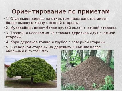 Приметы сторон света