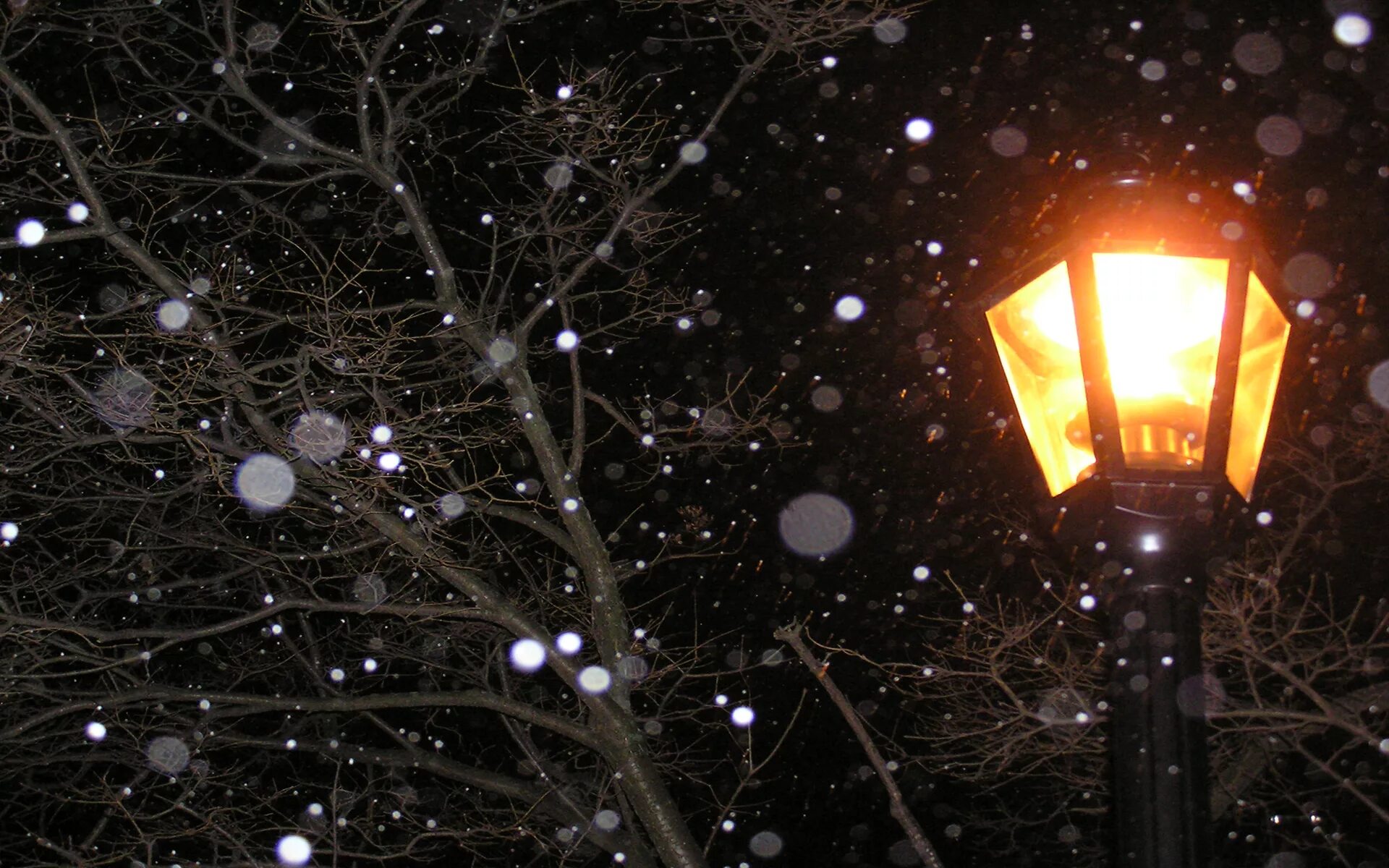 Ночные фонари обои на телефон. Снег фонарь. Снег фонарь ночь. Зимний уличный фонарь. Новогодний уличный фонарь.