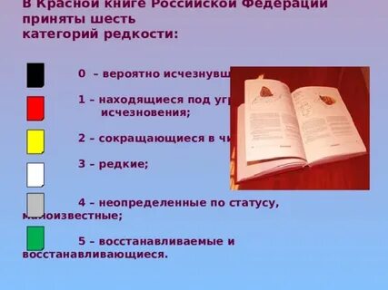 Категория редкости
