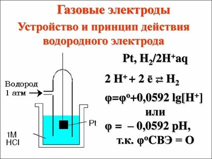 Потенциал водородного электрода