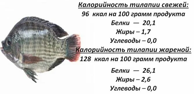 Тилапия кбжу. Тилапия рыба калорийность. рыба тилапия калорийность на 100 грамм. тилапия бжу на 100 грамм. тилапия рыба ккал на 100гр.