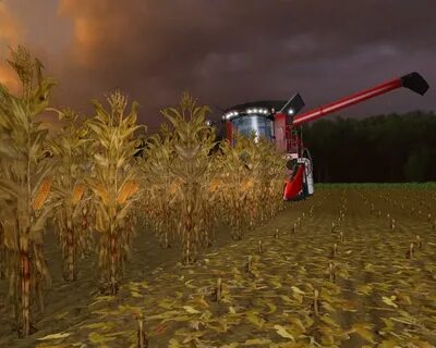Golden farming