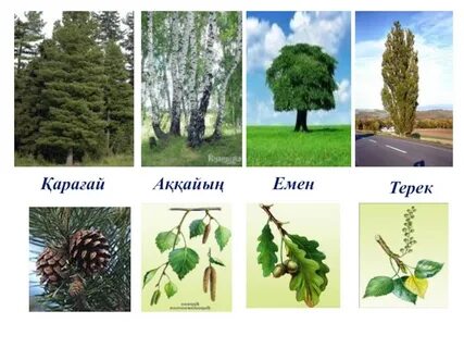 Үлкен сиськи орыс үй порно фото