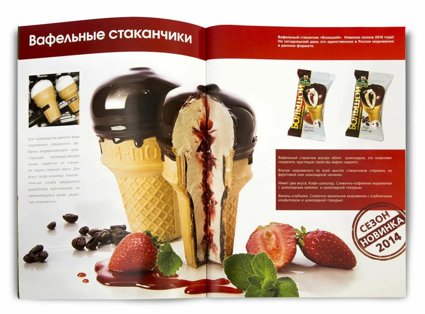 Мороженое примеры. Мороженое каталог. Каталог мороженого дизайн. Разработка каталога продукции мороженое. Мороженое каталог дизайн.