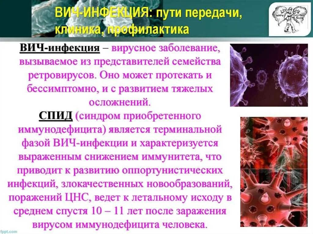 Какая иппп наиболее распространена