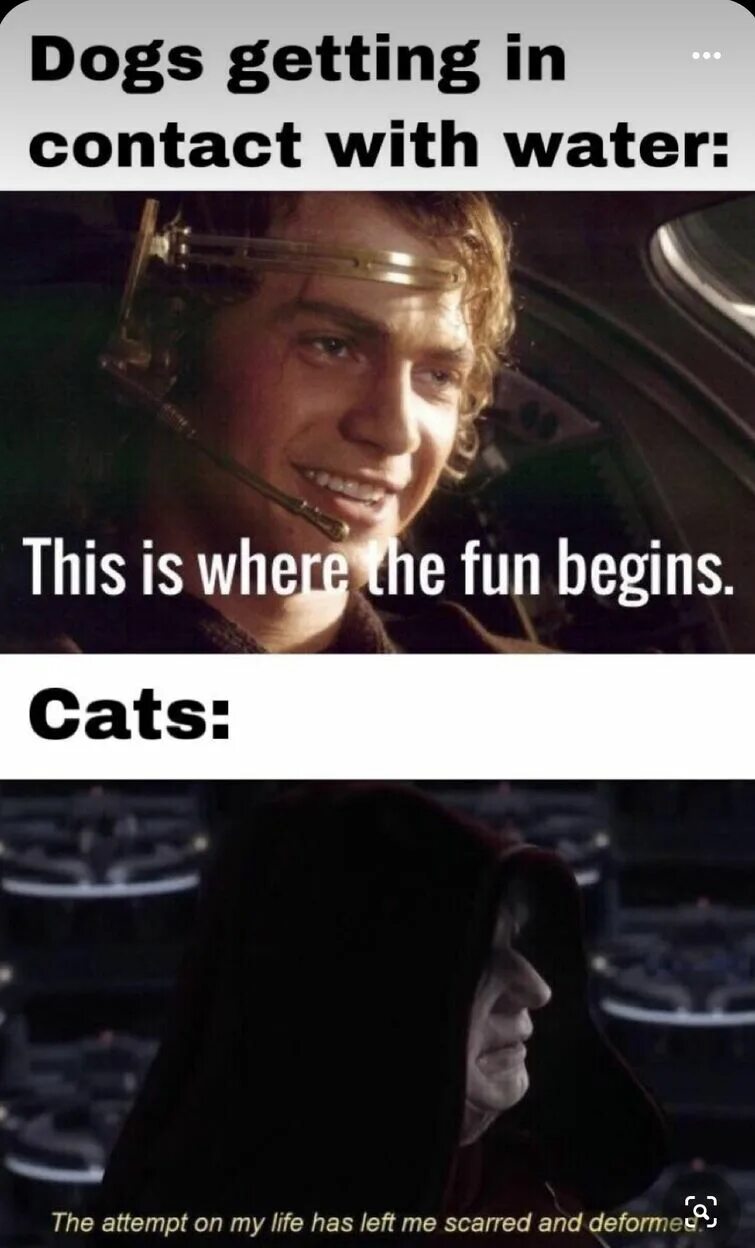 Open the attempt. Star wars funny. i get messages from the stars meme. gets a big dog to protect me and be scary.
