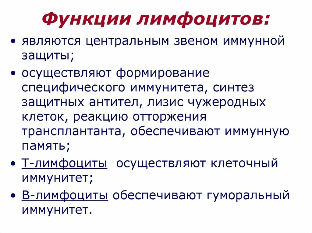 B лимфоциты функции. Основные функции лимфоцитов. Функции т лимфоцитов. Функции т лимфоцитов и в лимфоцитов. Характеристика в лимфоцитов