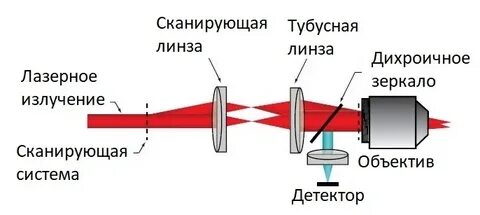 Сканирующая система