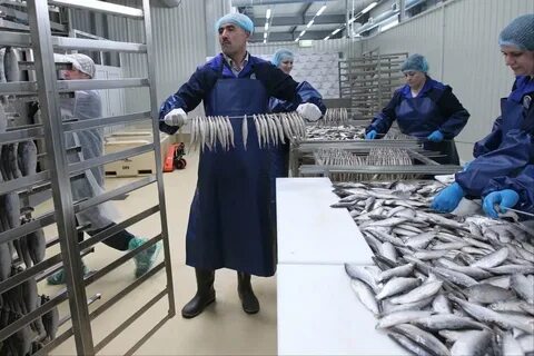 Рыбзавод