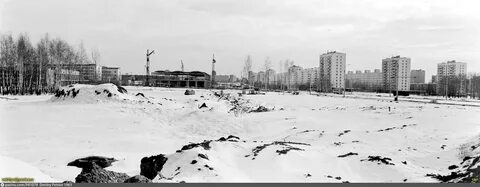 Январь 1981 года