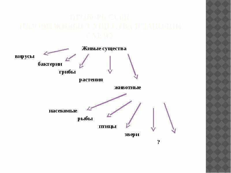 Прочитайте текст все живые существа. Закончи схему животное живое существо 2 класс. Закончи схему животное живое существо 2 класс окружающий мир. Схема животное живое существо 1. Живые существа 2 класс.