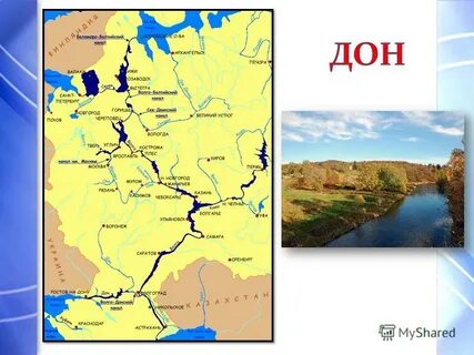 Официальное название дону