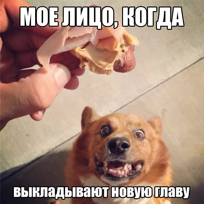Выражение нравится не нравится терпи моя. Нравится не нравится терпи моя красавица продолжение. фото стикер нравится не нравится терпи моя красавица.