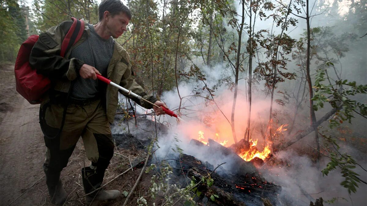 Лесные пожары. Тушение пожара в лесу. Лесные пожары картинки. Противопожарный режим в лесах.