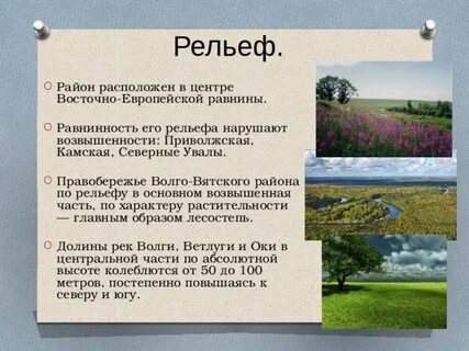 Характер рельефа русской равнины