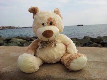 Stuffed toy