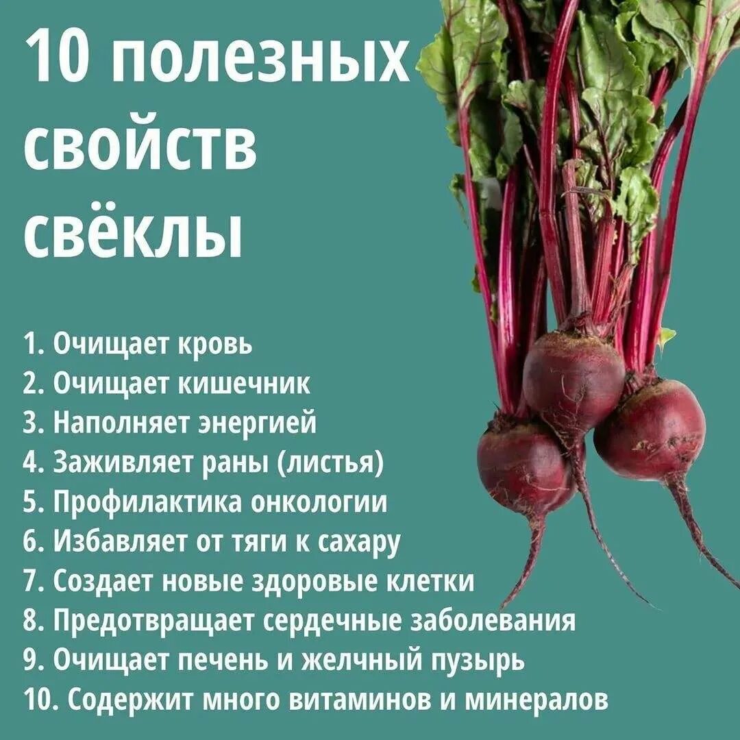 Свекла. Для чего полезна свекла. Полезные вещества в свекле. Что полезного в свекле. Свекла кормящей маме можно