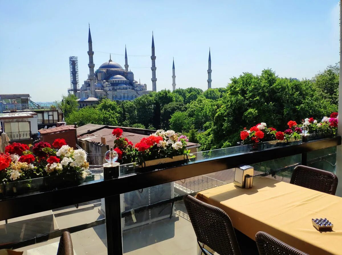 Рестораны стамбула с видом. Севен Хиллс отель Стамбул. Ресторан Севен Хиллс Стамбул. Турция район Султанахмет голубая мечеть. Стамбул отель Султанахмет 4.
