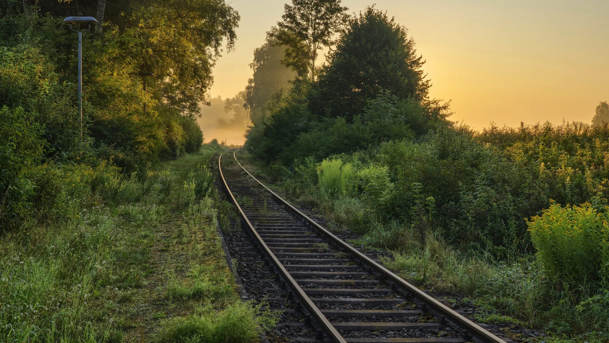 Одноколейка железная дорога. Железная дорога в лесу. Лесная железная дорога. Пейзаж с железной дорогой.