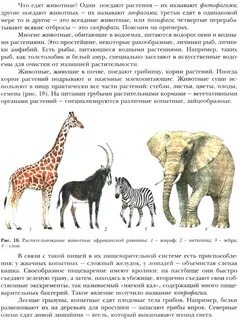 По биологии поведение животных конспект 8 класс