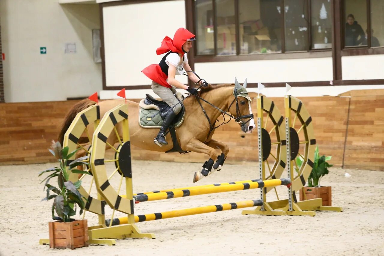 Кск измайлово хоббихорсинг соревнования выездка. Хобихорсинг измайлово хоббихорсинг. Кск измайлово хоббихорсинг соревнования выездка. Хобби хорс конкур. Хоббихорсинг конкур.