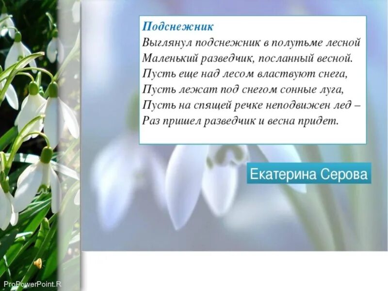 Бунин подснежник читать. Иван александрович бунин подснежники. иван алексеевич бунин подснежник. иван алексеевич бунин рассказ подснежник. произведение подснежник.