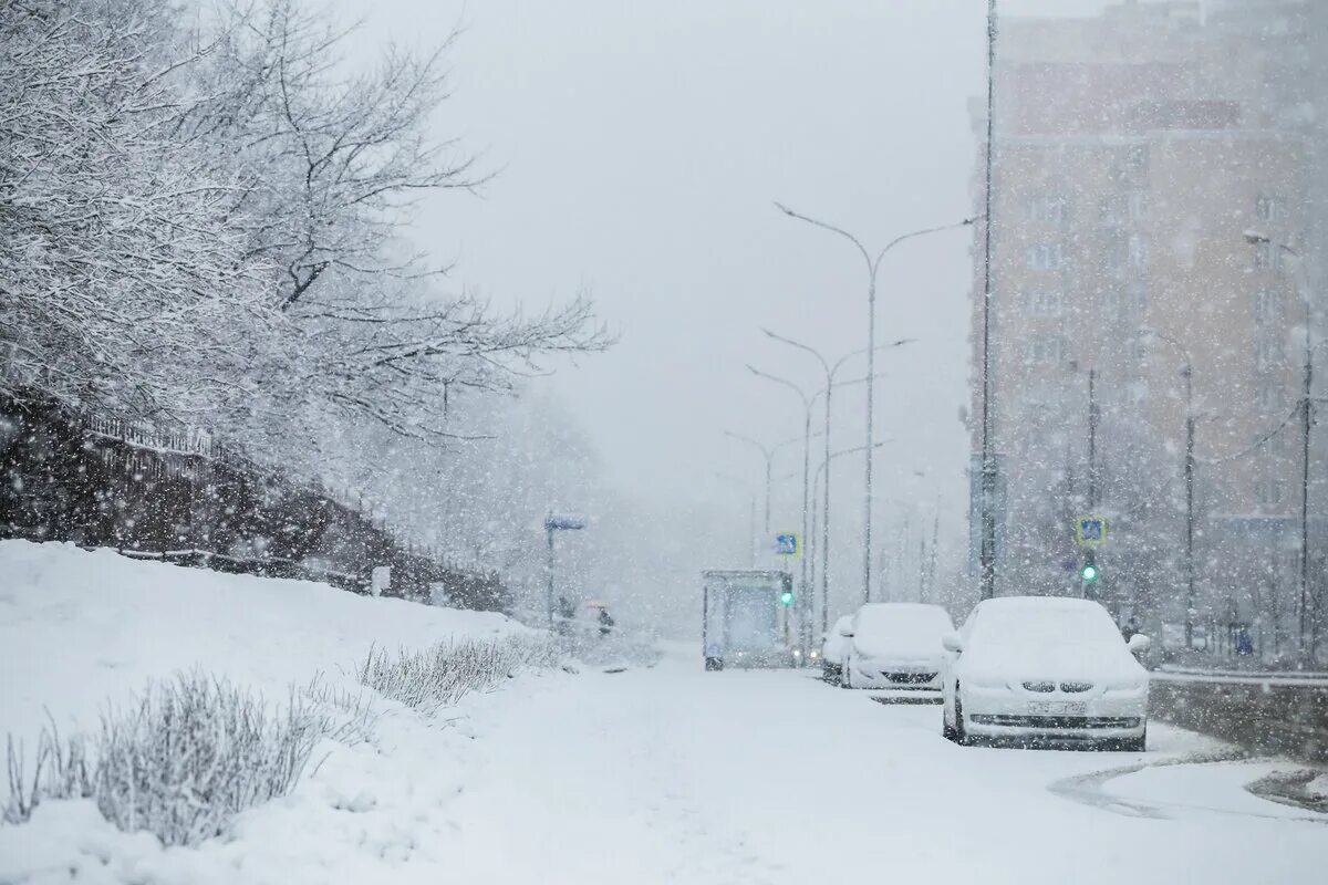 Сильный будет снегопад. Сильный снегопад в Москве. Снегопад в Москве сейчас видео в реальном времени. Сильный снегопад в Домодедово фото.