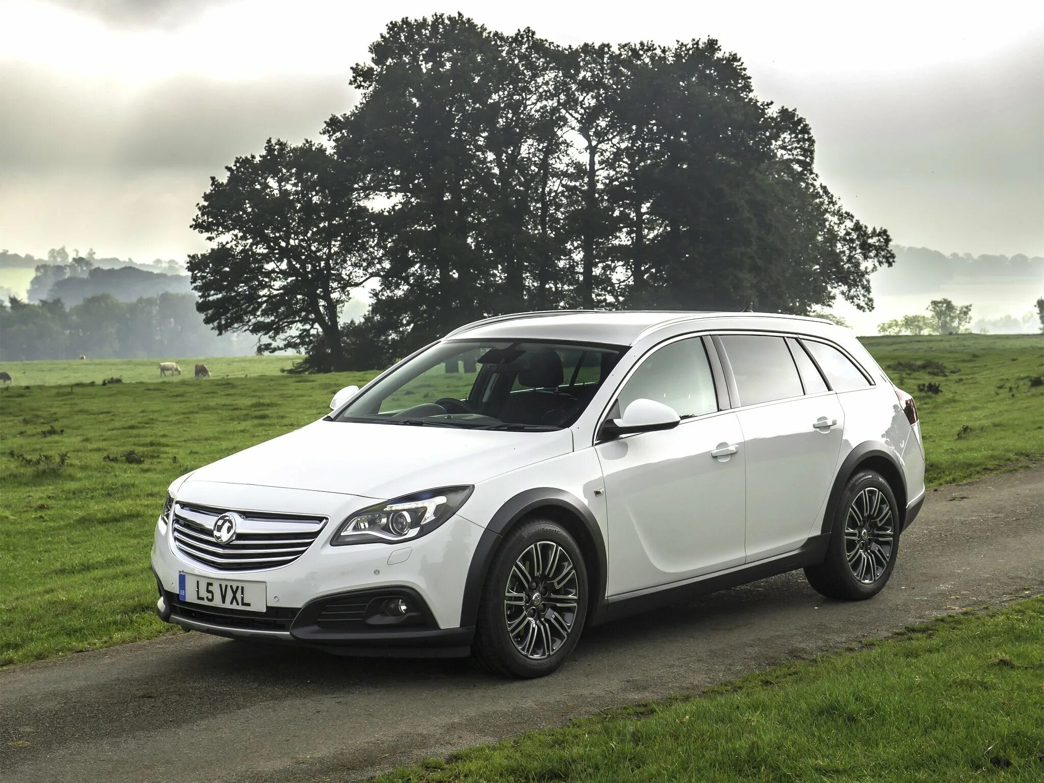 Opel insignia tourer. Опель Инсигния Кантри Турер. Opel Insignia Country Tourer 2015. Опель Инсигния Кантри Турер 2014. Insignia Country Tourer 2014.