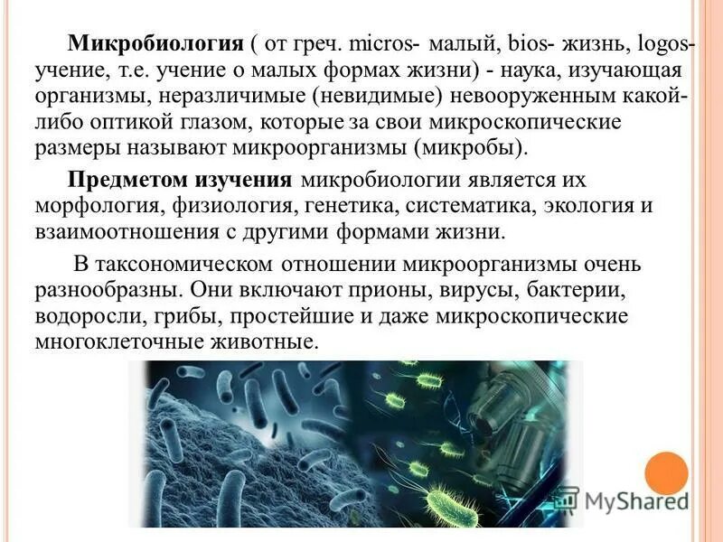 Сообщение о микробиологии и ее задачах. Сообщение о микробиологии и ее задачах