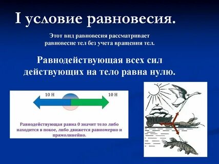 Опишите равновесие