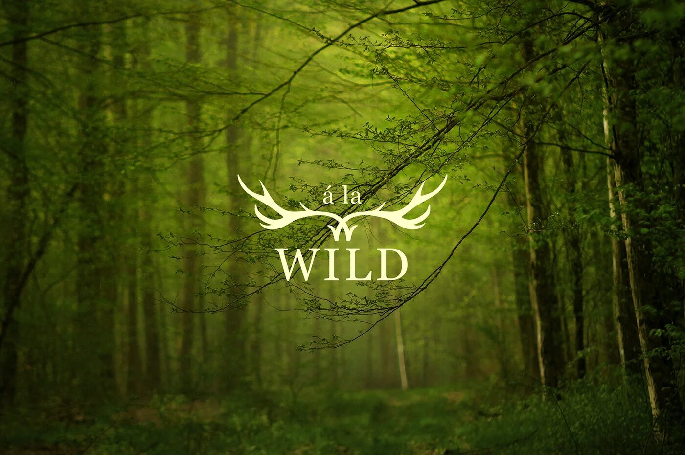 Девушка на страусе. Уссурийский тигр рядом с человеком. Индюк бронзовый широкогрудый. Индюк бронзовый широкогрудый. Both wild.