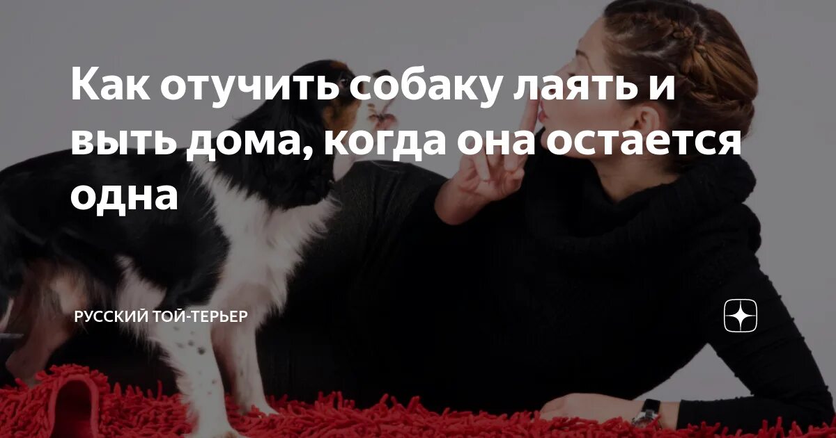 Причины постоянного лая собаки. Как отучить собаку лаять. как отучить собаку выть. что делать если собака лает. что делать если собака гавкает.