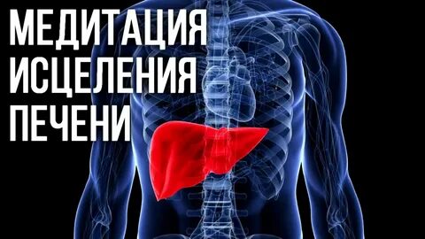 Матрица печень