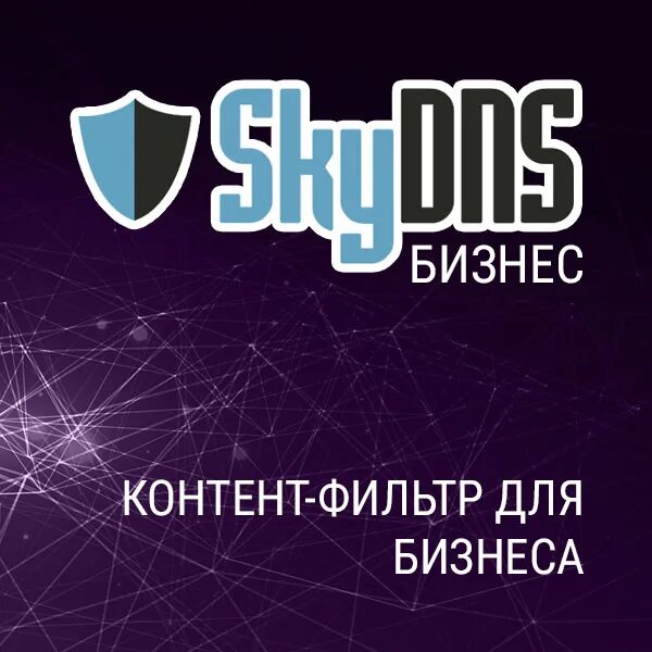 Скай днс. SKYDNS. SKYDNS лого. Sky DNS. SKYDNS.вуз 90 ПК 1 год.