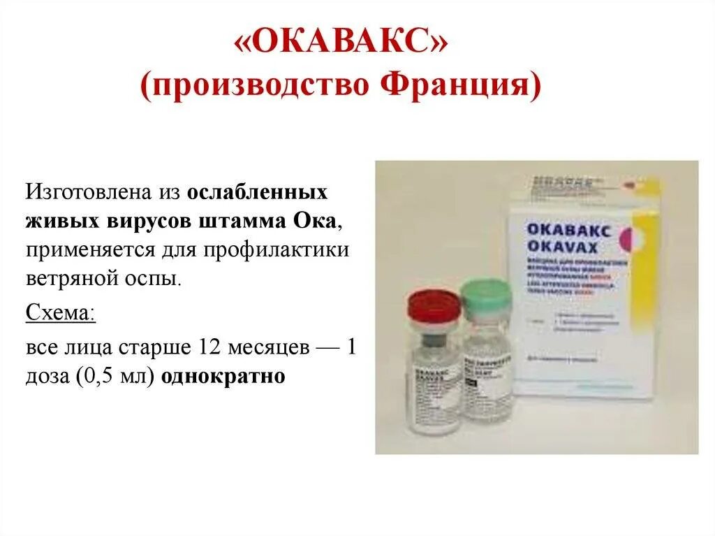 Прививка против ветряной оспы детям схема. Схема вакцинации ветряной оспы. Вакцина от ветряной оспы схема вакцинации. Вакцинация ветряной оспы у детей схема.