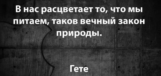 В нас расцветает то что мы питаем таков вечный закон природы. Вечный закон природы. Гете в нас расцветает то что мы питаем. В нас зацветает то, что мы питаем таков вечный закон природы Гете. Побеждающий вечный закон это любовь