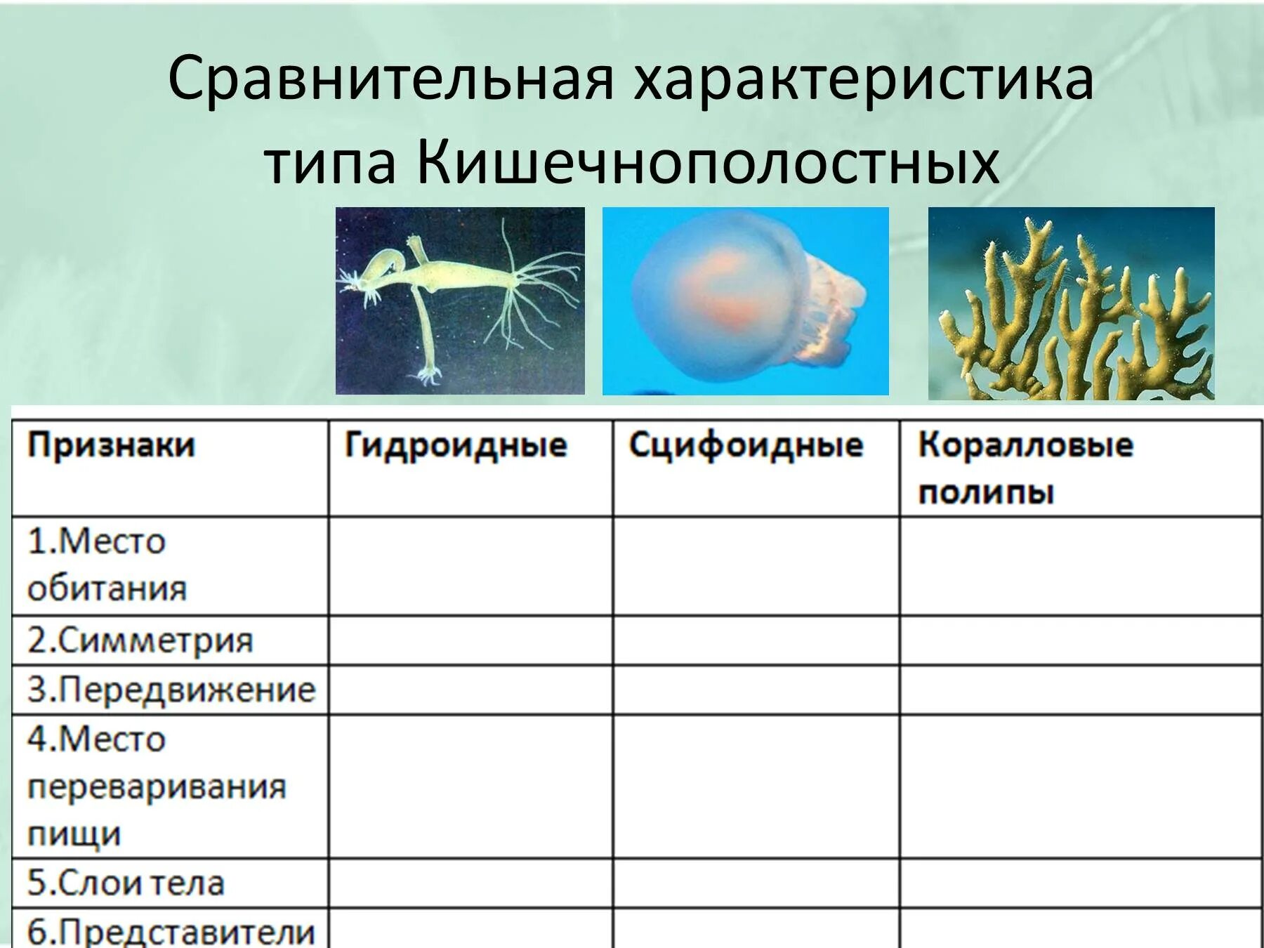 3 признака кишечнополостных. Разнообразие кишечнополостных 7 класс таблица по биологии. Таблица по биологии 7 класс Тип Кишечнополостные. Характеристика класса кишечнополостных 7 класс биология таблица. Характеристика типа Кишечнополостные 7 класс таблица.