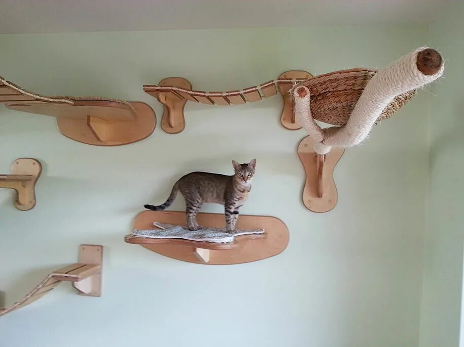 Cat playground