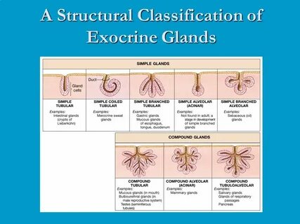 Classification examples