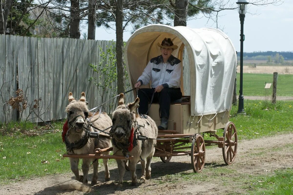 Создать вторую телегу