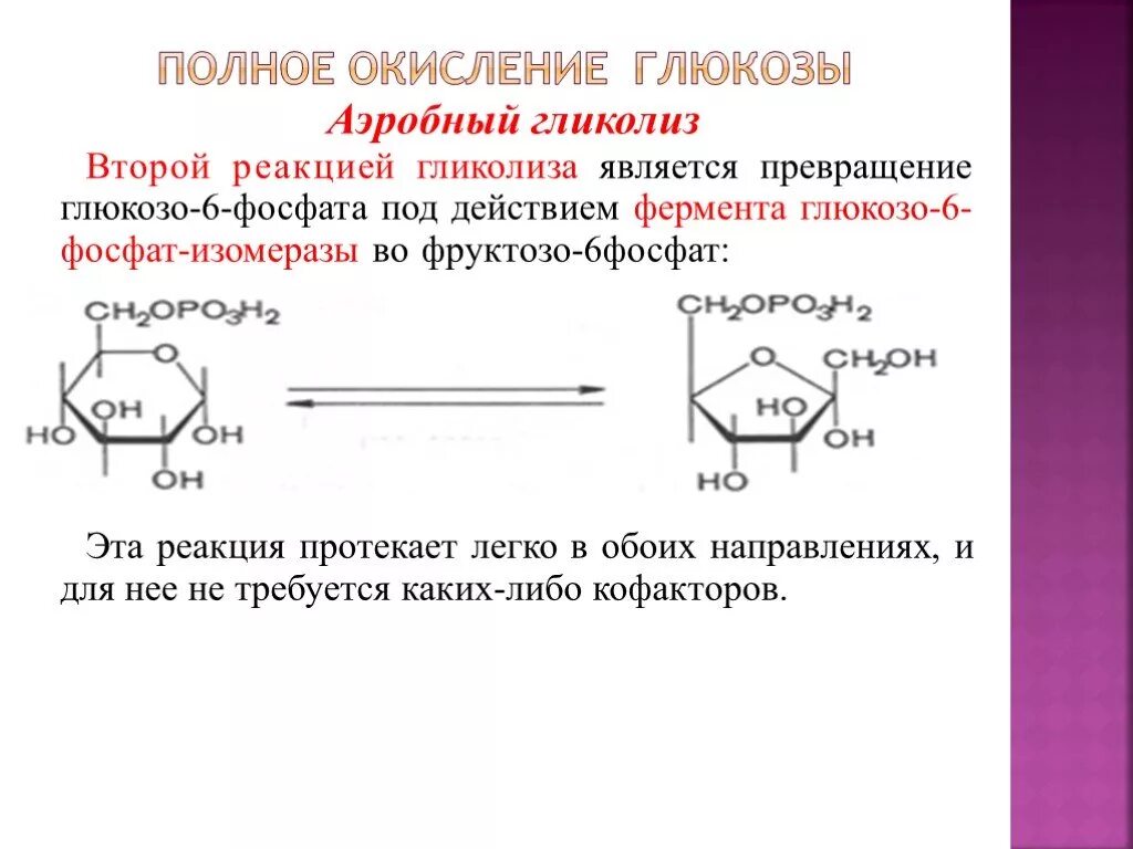 Глюкозо 6 фосфат функции. Фермент превращающий глюкозу в глюкозо 6 фосфат. Глюкоза 6 фосфат изомераза. (Глюкозо-6-фосфат + фосфоглюкоизомераза = фруктозо-6-ф. Аэробное соединение
