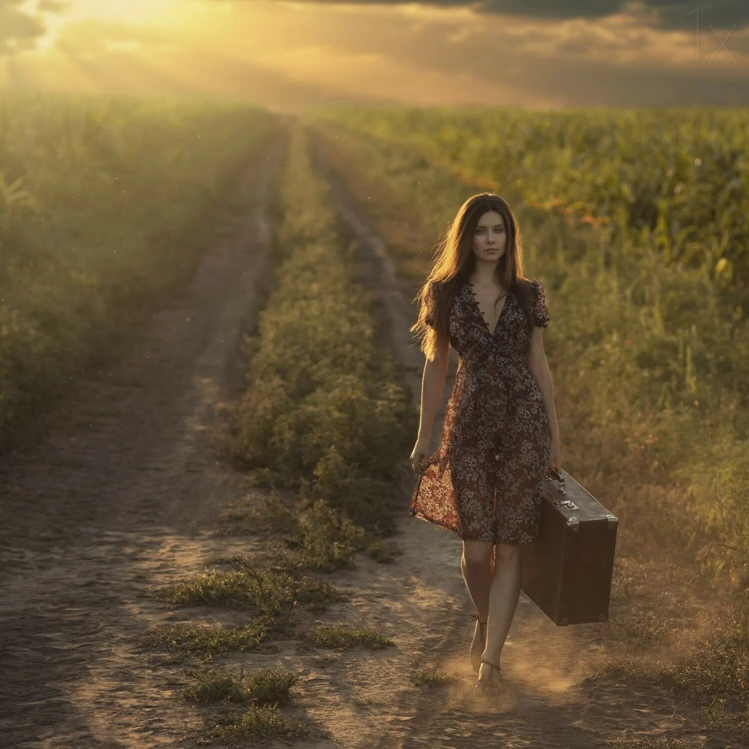 давид дубницкий. David photographer. давид дубницкий у озера. давид дубницкий девичий переполох. David photographer.