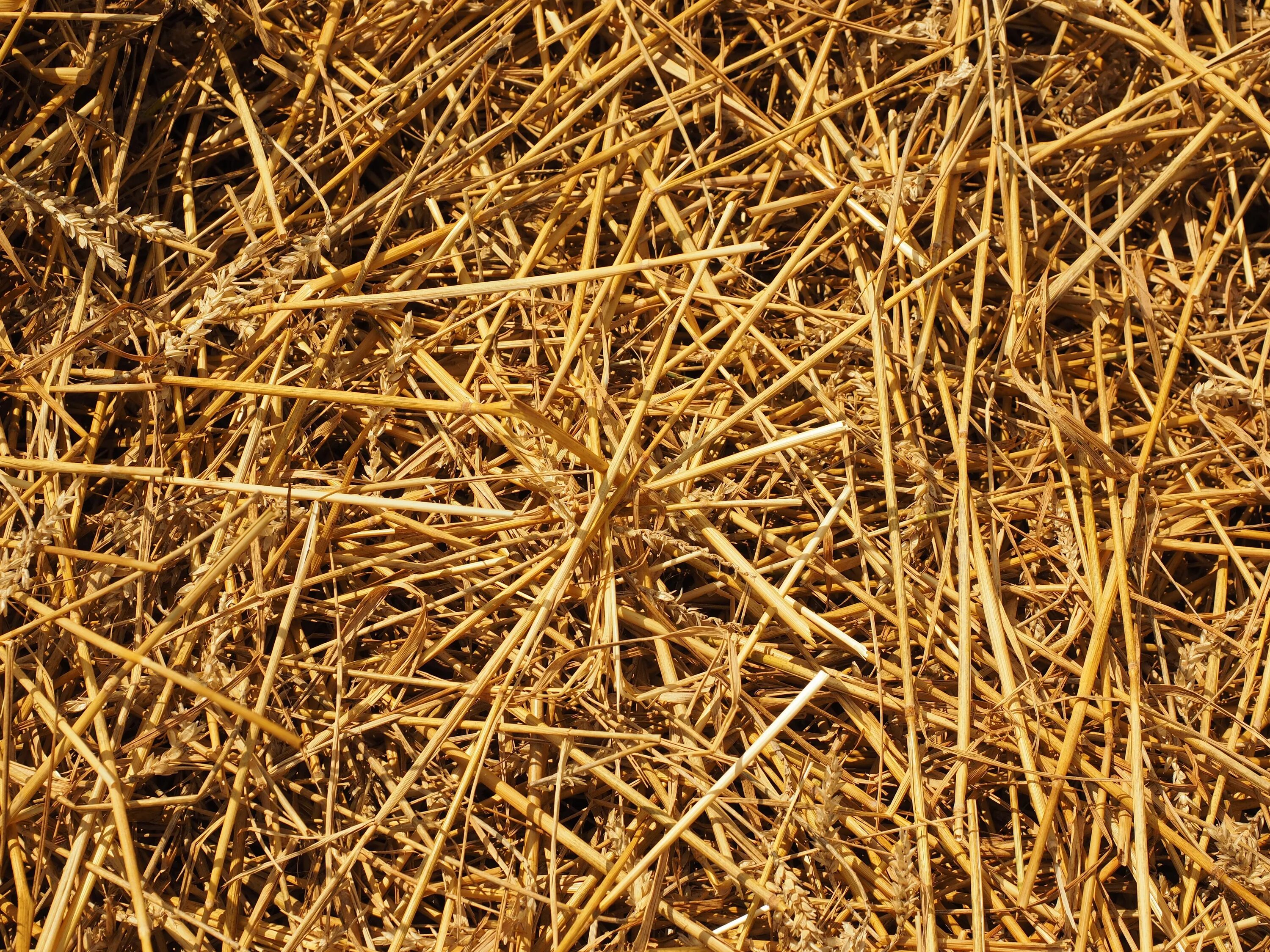 Straw page